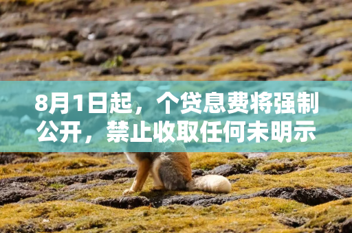 8月1日起，个贷息费将强制公开，禁止收取任何未明示费用（全文）