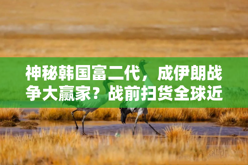 神秘韩国富二代，成伊朗战争大赢家？战前扫货全球近40%超大油轮