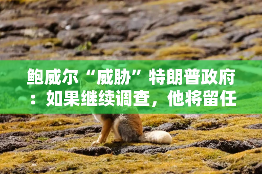 鲍威尔“威胁”特朗普政府：如果继续调查，他将留任美联储理事直到2028年1月