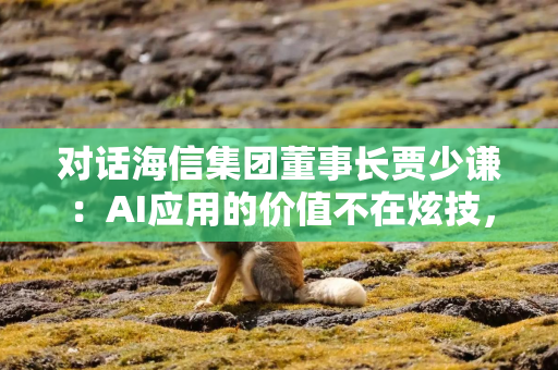 对话海信集团董事长贾少谦：AI应用的价值不在炫技，而在落地