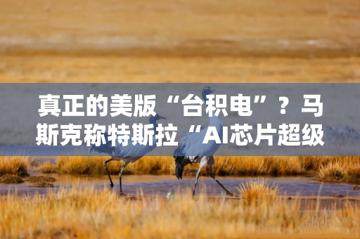 真正的美版“台积电”？马斯克称特斯拉“AI芯片超级工厂”7天内启动