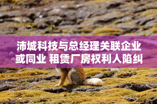 沛城科技与总经理关联企业或同业 租赁厂房权利人陷纠纷