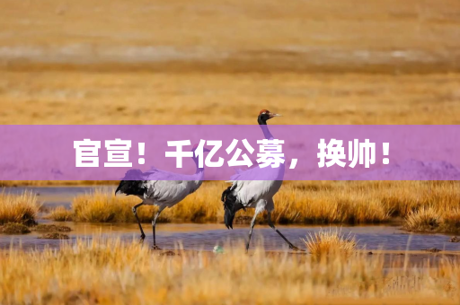 官宣！千亿公募，换帅！