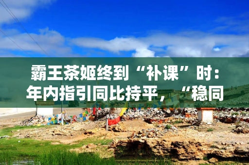 霸王茶姬终到“补课”时：年内指引同比持平，“稳同店”为重中之重
