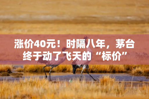 涨价40元！时隔八年，茅台终于动了飞天的“标价”