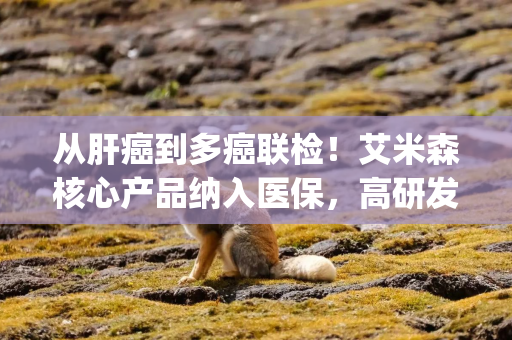 从肝癌到多癌联检！艾米森核心产品纳入医保，高研发投入暂未盈利|港E声