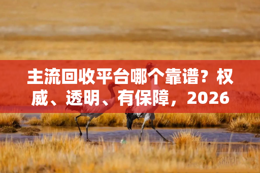 主流回收平台哪个靠谱？权威、透明、有保障，2026年二手回收就选转转