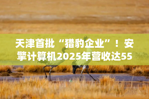 天津首批“猎豹企业”！安擎计算机2025年营收达55亿元，AI服务器量价齐增助推业绩|港E声