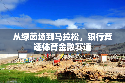 从绿茵场到马拉松，银行竞逐体育金融赛道
