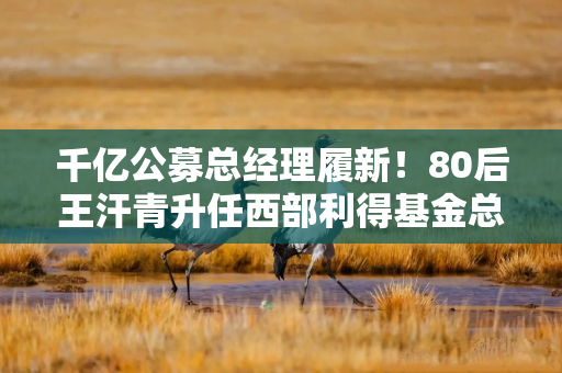 千亿公募总经理履新！80后王汗青升任西部利得基金总经理，曾任职光大证券17年