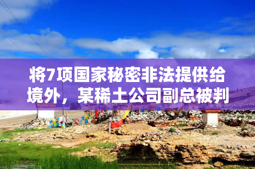 将7项国家秘密非法提供给境外，某稀土公司副总被判11年半