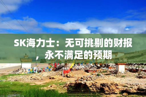 SK海力士：无可挑剔的财报，永不满足的预期