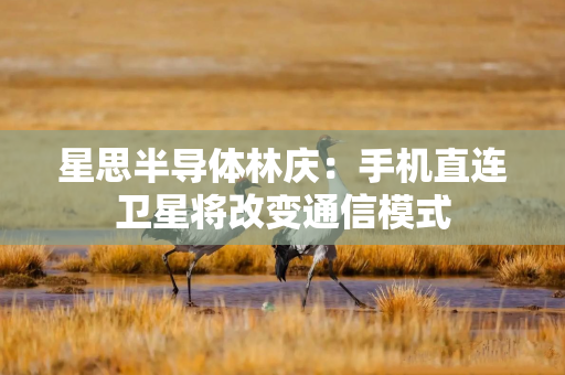 星思半导体林庆：手机直连卫星将改变通信模式