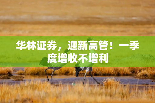 华林证券，迎新高管！一季度增收不增利
