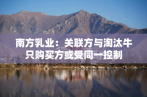 南方乳业：关联方与淘汰牛只购买方或受同一控制