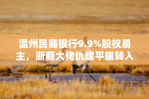 温州民商银行9.9%股权易主，浙商大佬仇建平辗转入局