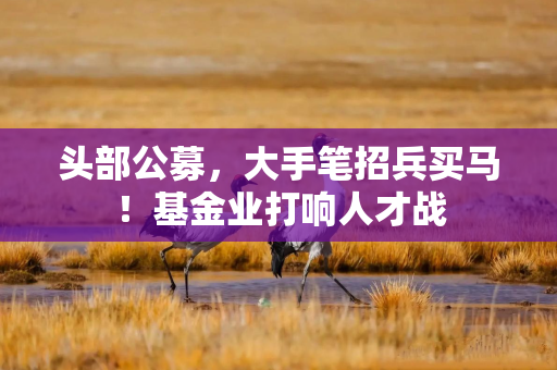 头部公募，大手笔招兵买马！基金业打响人才战