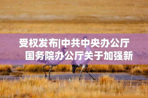 受权发布|中共中央办公厅　国务院办公厅关于加强新就业群体服务管理的意见
