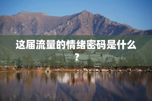 这届流量的情绪密码是什么？