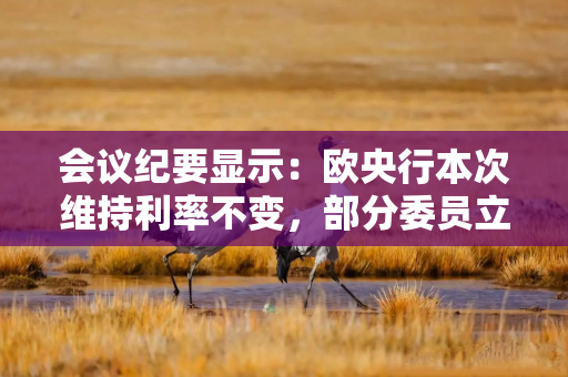 会议纪要显示：欧央行本次维持利率不变，部分委员立场摇摆、表决结果险之又险