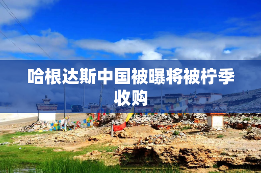 哈根达斯中国被曝将被柠季收购