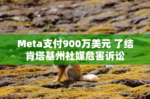 Meta支付900万美元 了结肯塔基州社媒危害诉讼