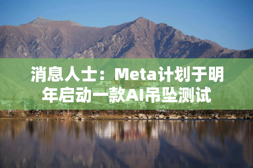 消息人士：Meta计划于明年启动一款AI吊坠测试