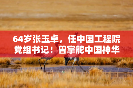 64岁张玉卓，任中国工程院党组书记！曾掌舵中国神华、中国石化