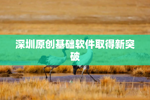 深圳原创基础软件取得新突破