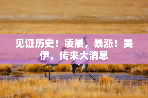 见证历史！凌晨，暴涨！美伊，传来大消息