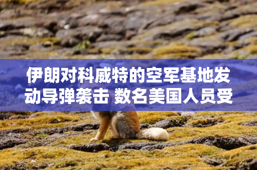 伊朗对科威特的空军基地发动导弹袭击 数名美国人员受伤