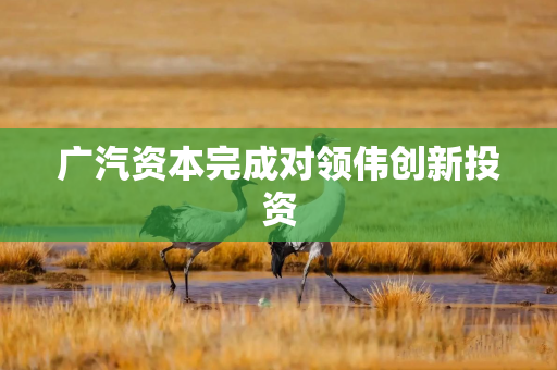 广汽资本完成对领伟创新投资