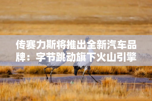 传赛力斯将推出全新汽车品牌：字节跳动旗下火山引擎深度参与，计划6月发布