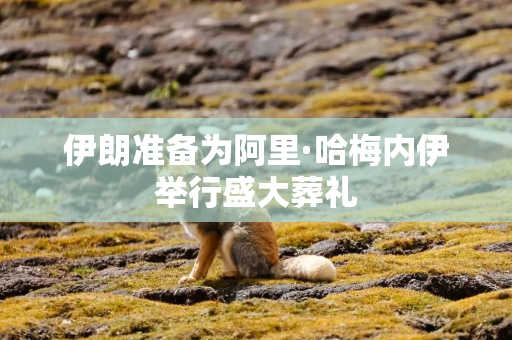 伊朗准备为阿里·哈梅内伊举行盛大葬礼