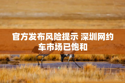 官方发布风险提示 深圳网约车市场已饱和