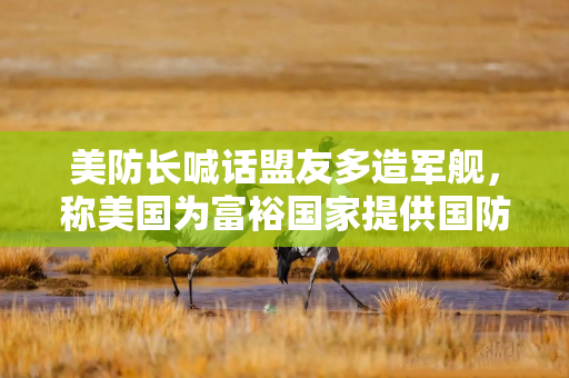 美防长喊话盟友多造军舰，称美国为富裕国家提供国防补贴的日子已经结束了