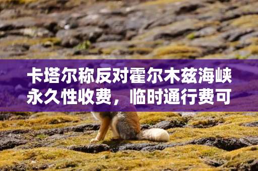 卡塔尔称反对霍尔木兹海峡永久性收费，临时通行费可以商量