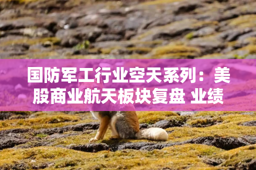 国防军工行业空天系列：美股商业航天板块复盘 业绩提速与商业化闭环开启下一阶段增长