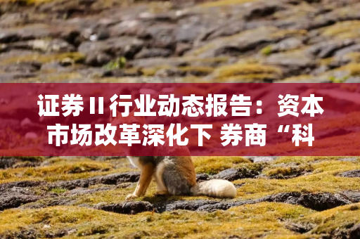 证券Ⅱ行业动态报告：资本市场改革深化下 券商“科创属性”价值重估