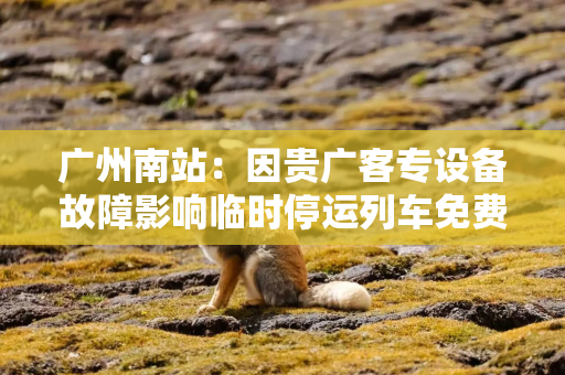 广州南站：因贵广客专设备故障影响临时停运列车免费退改签