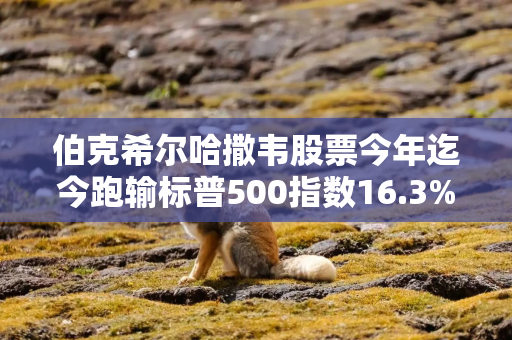 伯克希尔哈撒韦股票今年迄今跑输标普500指数16.3%