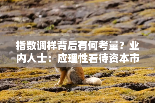 指数调样背后有何考量？业内人士：应理性看待资本市场指数调样