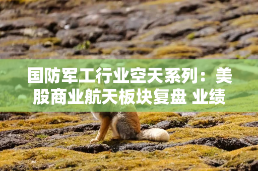 国防军工行业空天系列：美股商业航天板块复盘 业绩提速与商业化闭环开启下一阶段增长