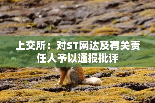 上交所：对ST网达及有关责任人予以通报批评