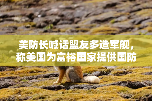 美防长喊话盟友多造军舰，称美国为富裕国家提供国防补贴的日子已经结束了