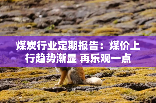 煤炭行业定期报告：煤价上行趋势渐显 再乐观一点