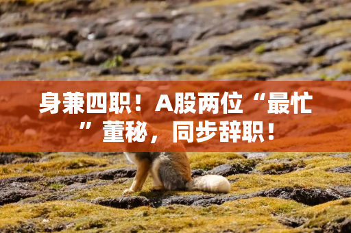 身兼四职！A股两位“最忙”董秘，同步辞职！