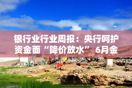 银行业行业周报：央行呵护资金面“降价放水” 6月金融股或有绝对收益