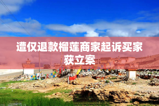遭仅退款榴莲商家起诉买家获立案