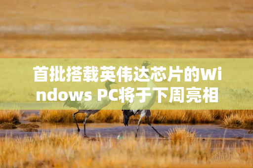首批搭载英伟达芯片的Windows PC将于下周亮相